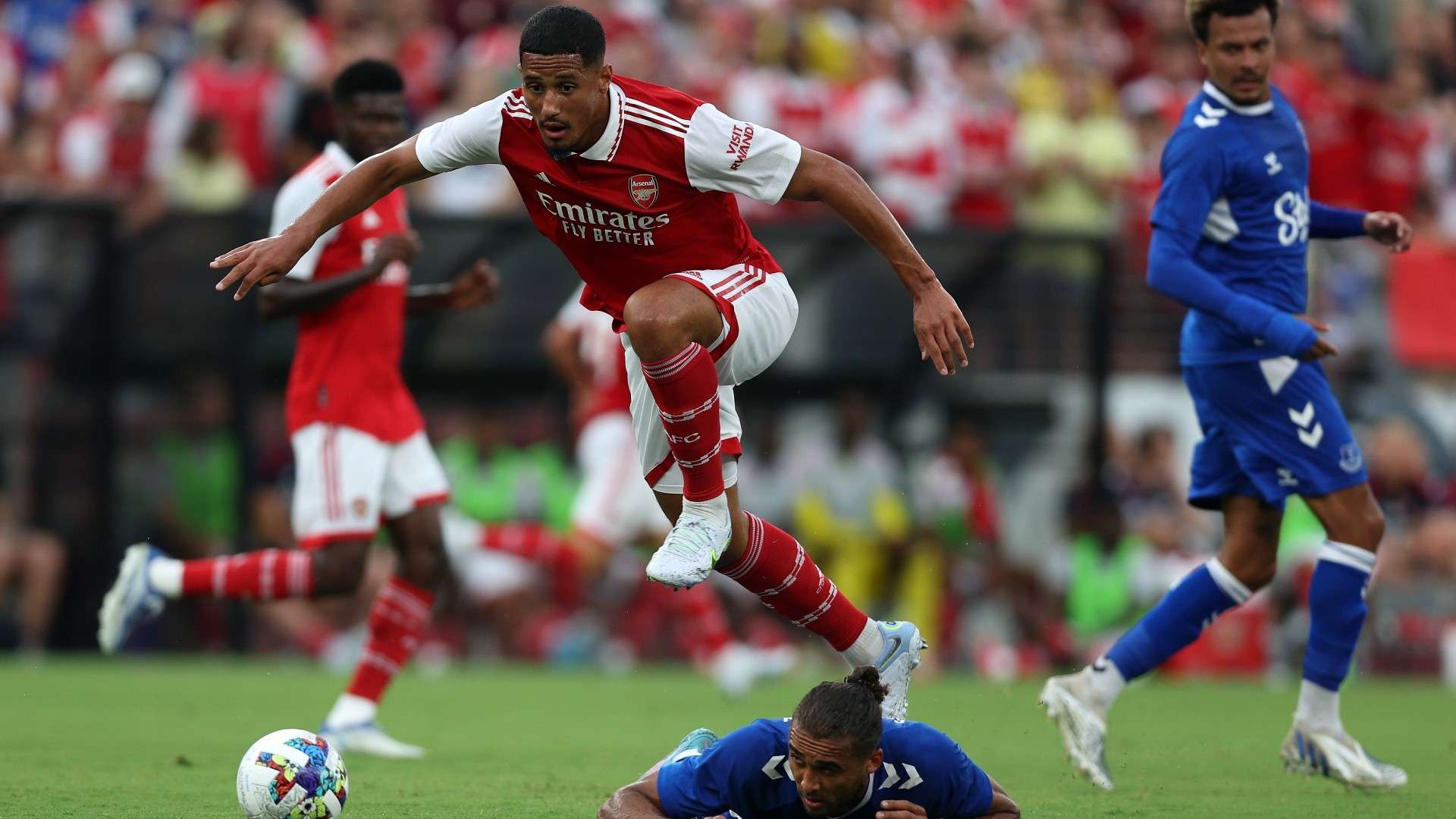 任何一支球 任何一支球